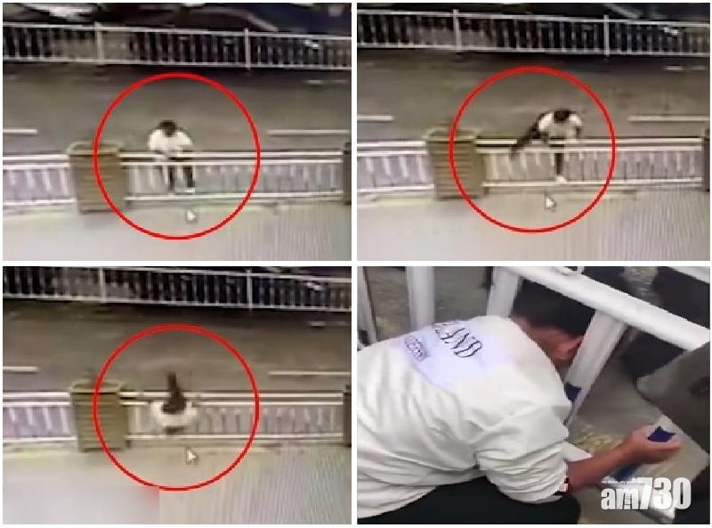 跨欄過馬路失手 浙女頭卡欄杆