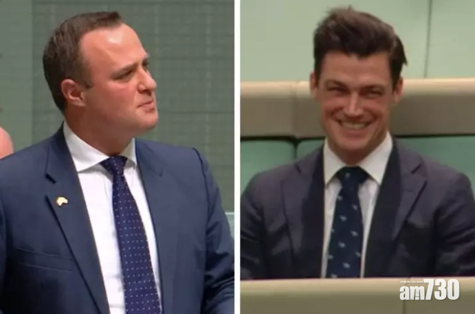 【有片】澳議員國會辯論 當眾向同性伴侶求婚