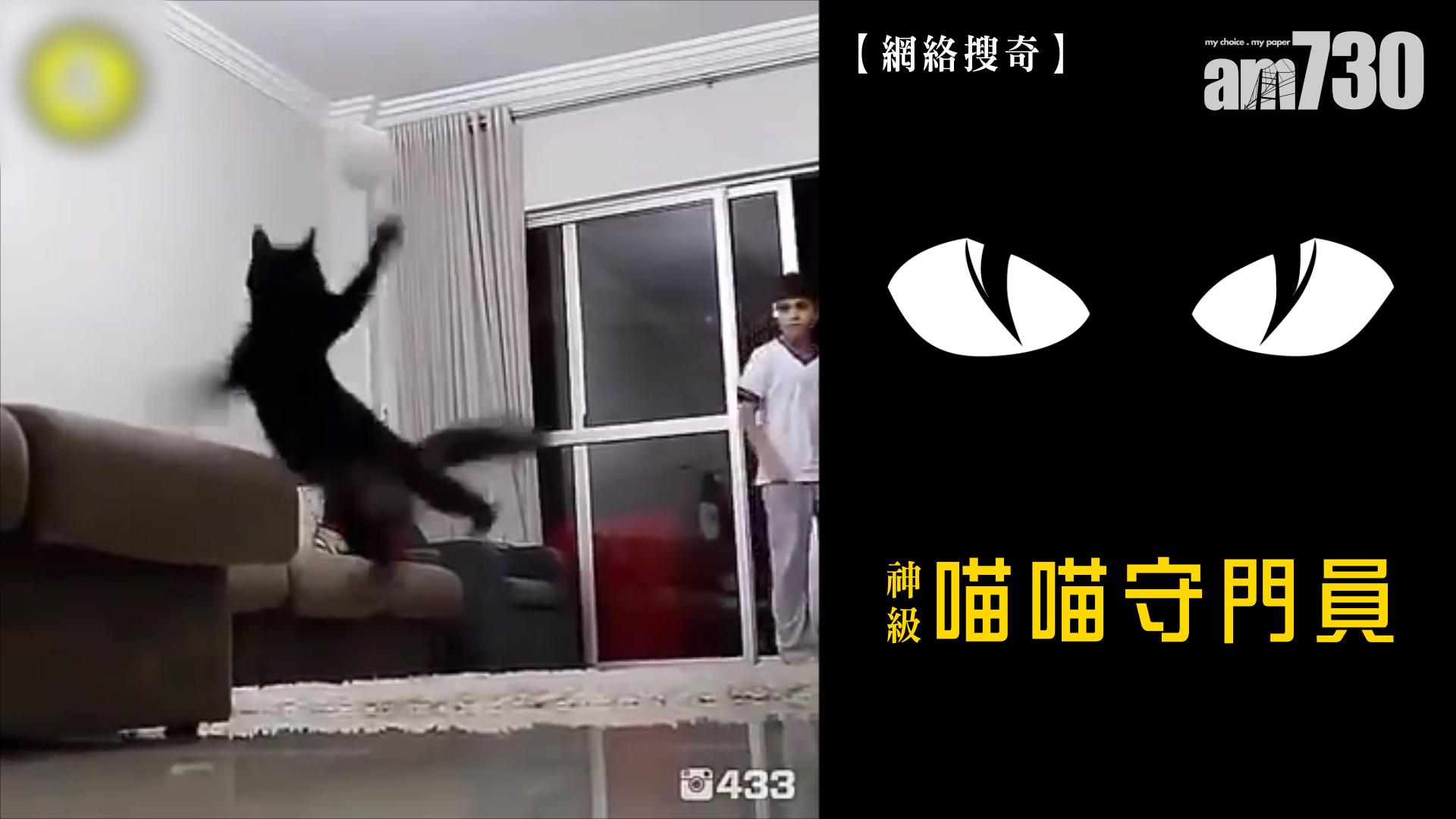 神級喵喵守門員