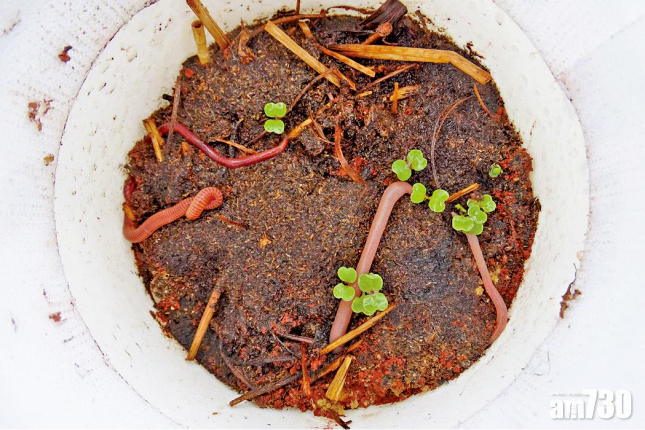 蚯蚓可在火星土壤存活繁殖