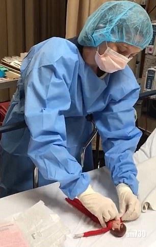 聖誕奇蹟精靈駁肢 