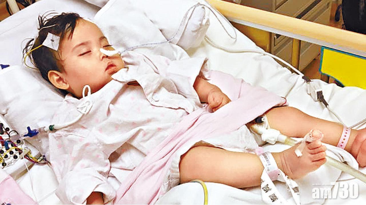 予恩仍嚴重 是否涉人為出錯  陸志聰：判斷言之尚早