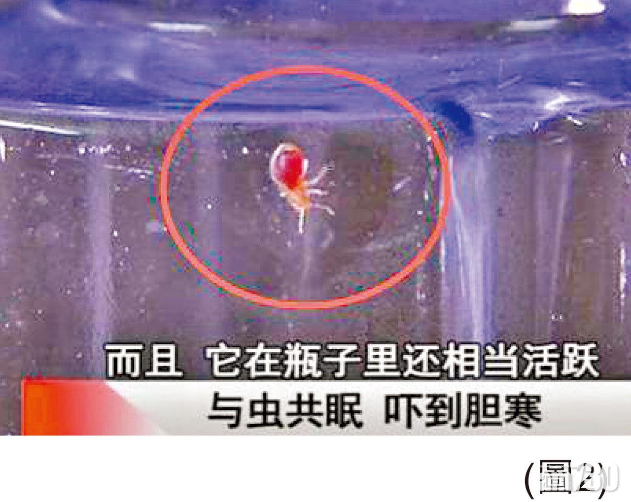 酒店枕頭染血 深女驚見成床活蟲