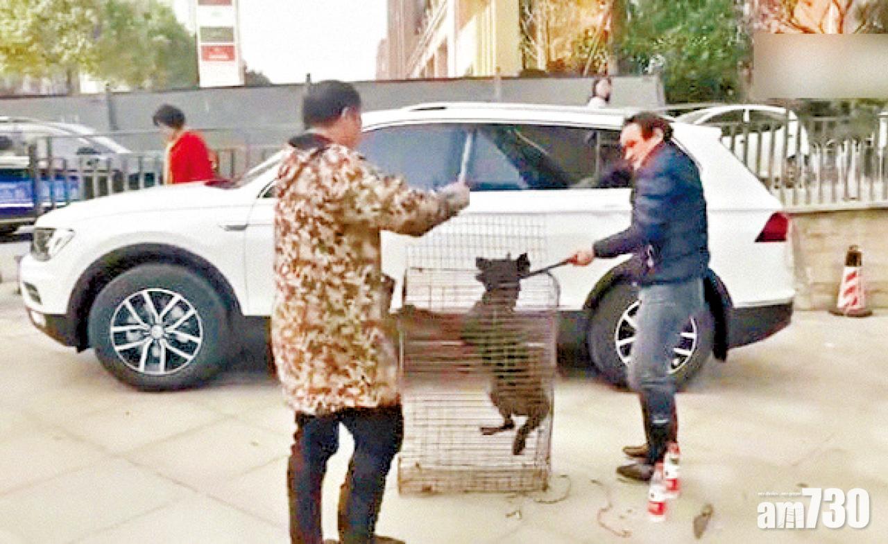 湖南車主殺狗祭新車