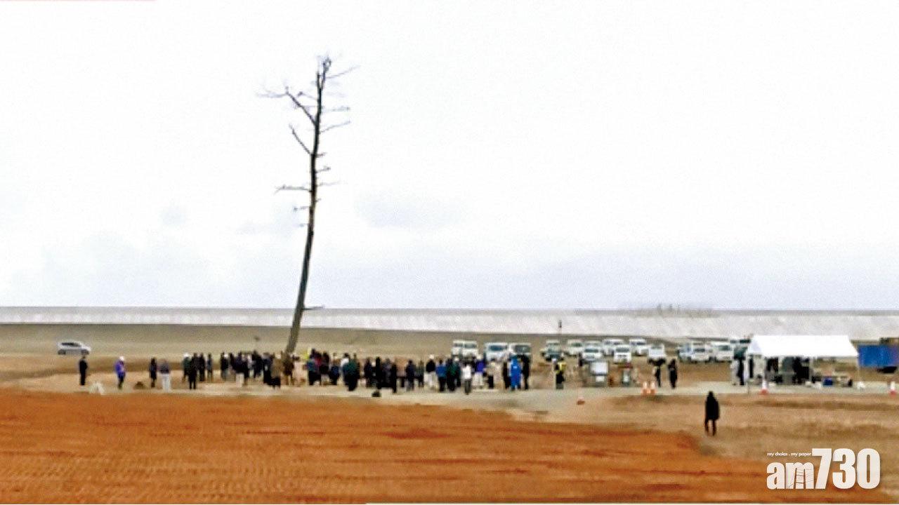 別了福島「奇蹟之松」