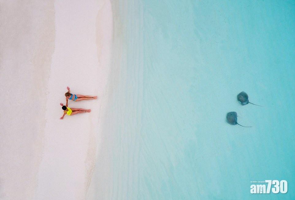 航拍沙龍我獨尊