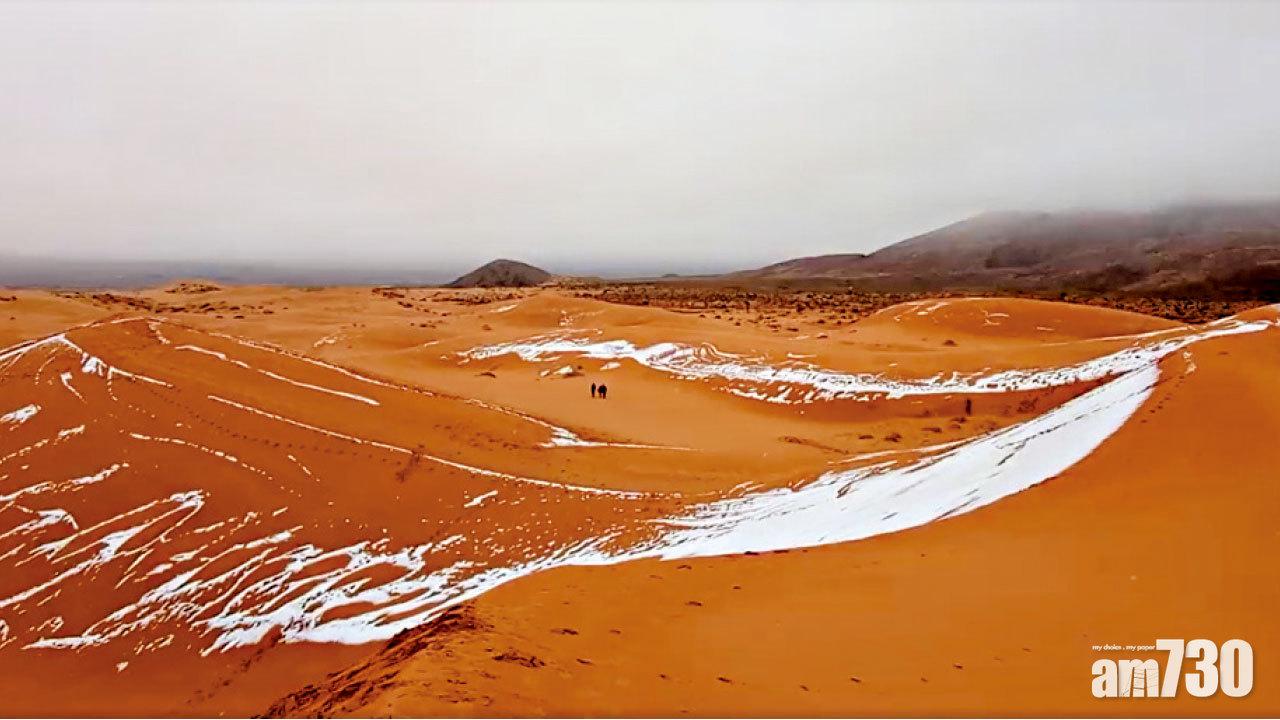 撒哈拉沙漠連續3年罕見落雪