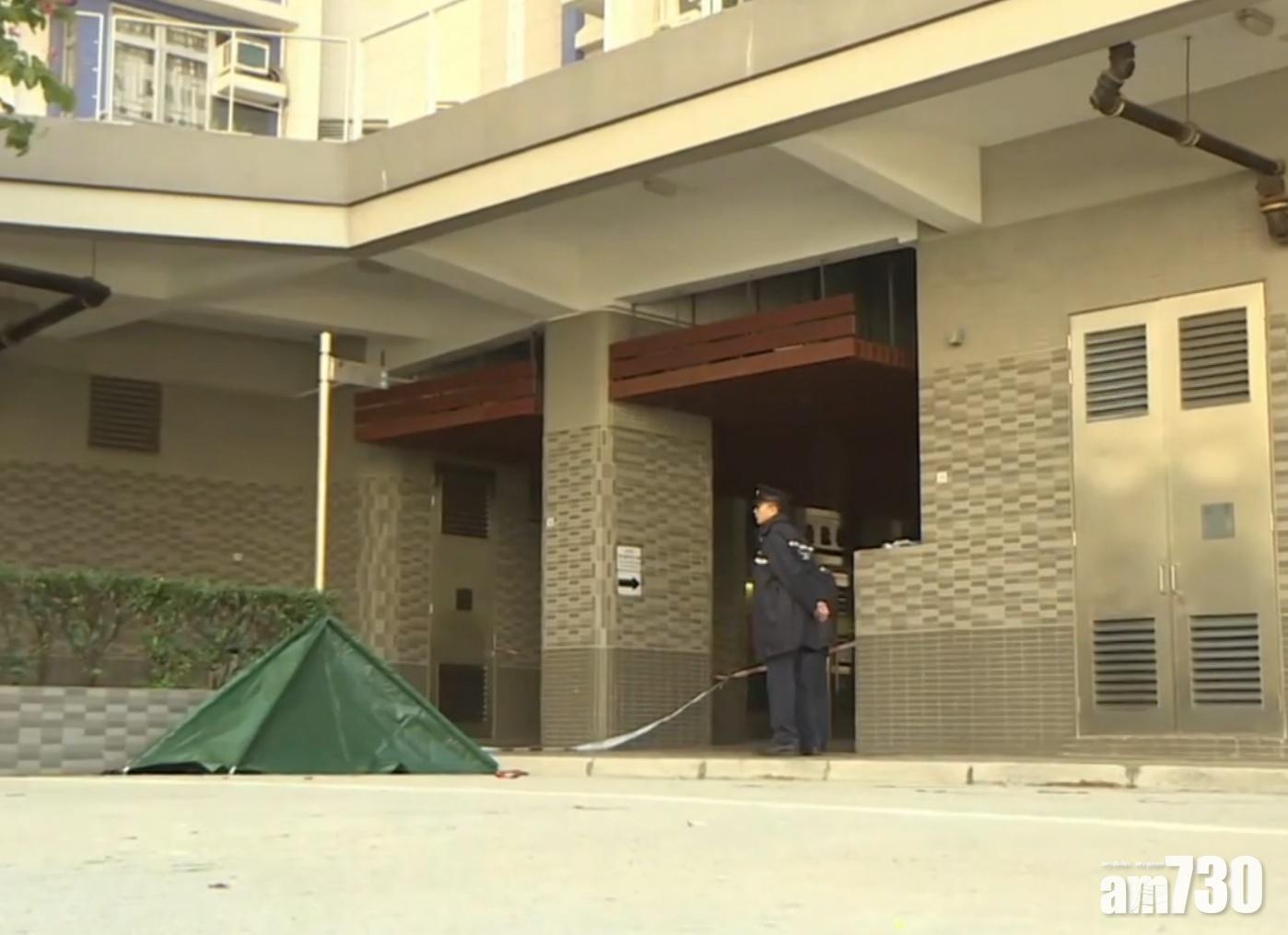  【龍逸邨謀殺案】 66歲夫涉殺63妻再跳樓亡