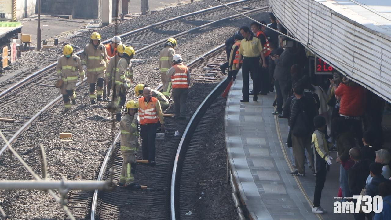 九龍塘站墮軌乘客被救起 東鐵列車服務回復正常