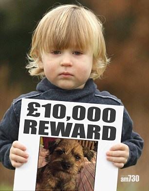 名人襄助 男童與犬團圓