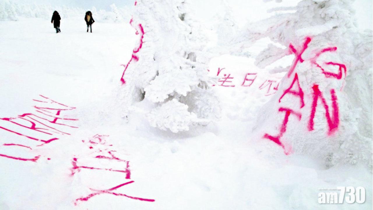 疑華客所為  青森樹冰被噴簡體「生日快樂」