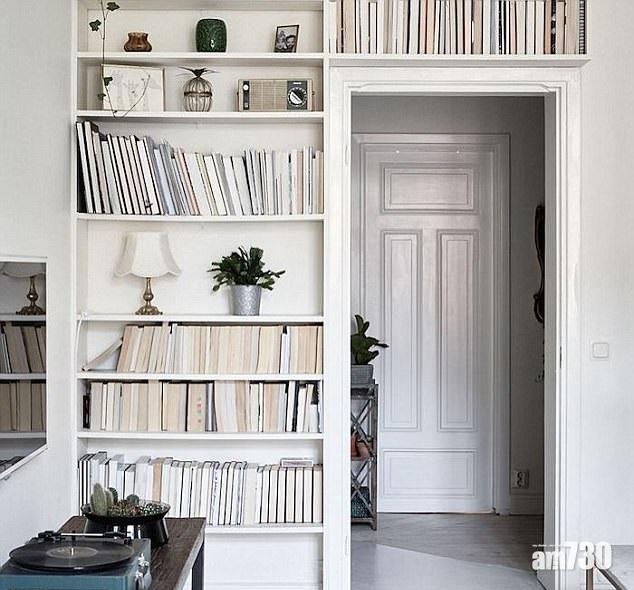 無脊天書 問你點搵