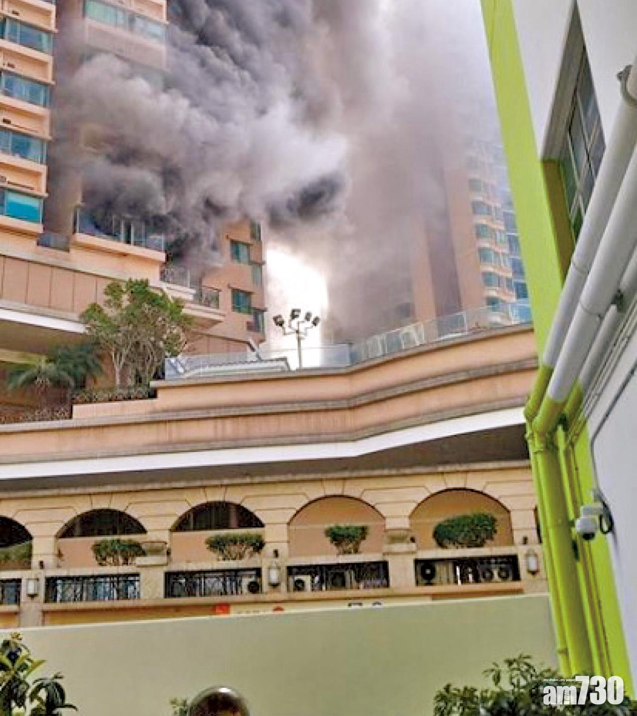 屯門海典軒火警 戶主愛犬疑焗斃