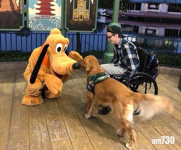 當工作犬遇上布魯圖