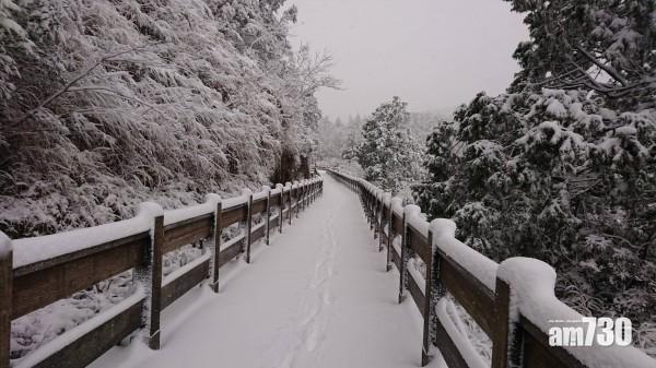 宜蘭太平山持續降雪 疏散4000人封園