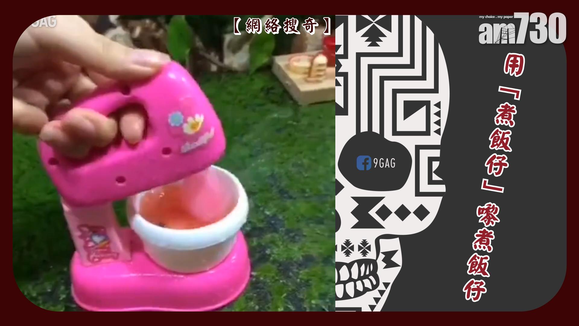 用「煮飯仔」嚟煮飯仔