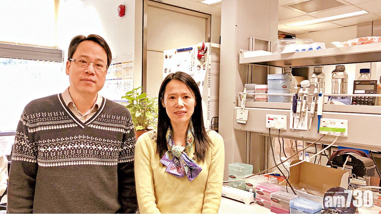 影響肝臟增肝癌風險 缺關鍵物質致鐵積聚