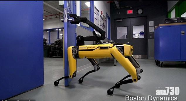 機械狗進化識開門