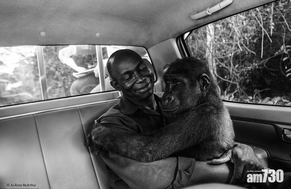 人猩情深奪大獎