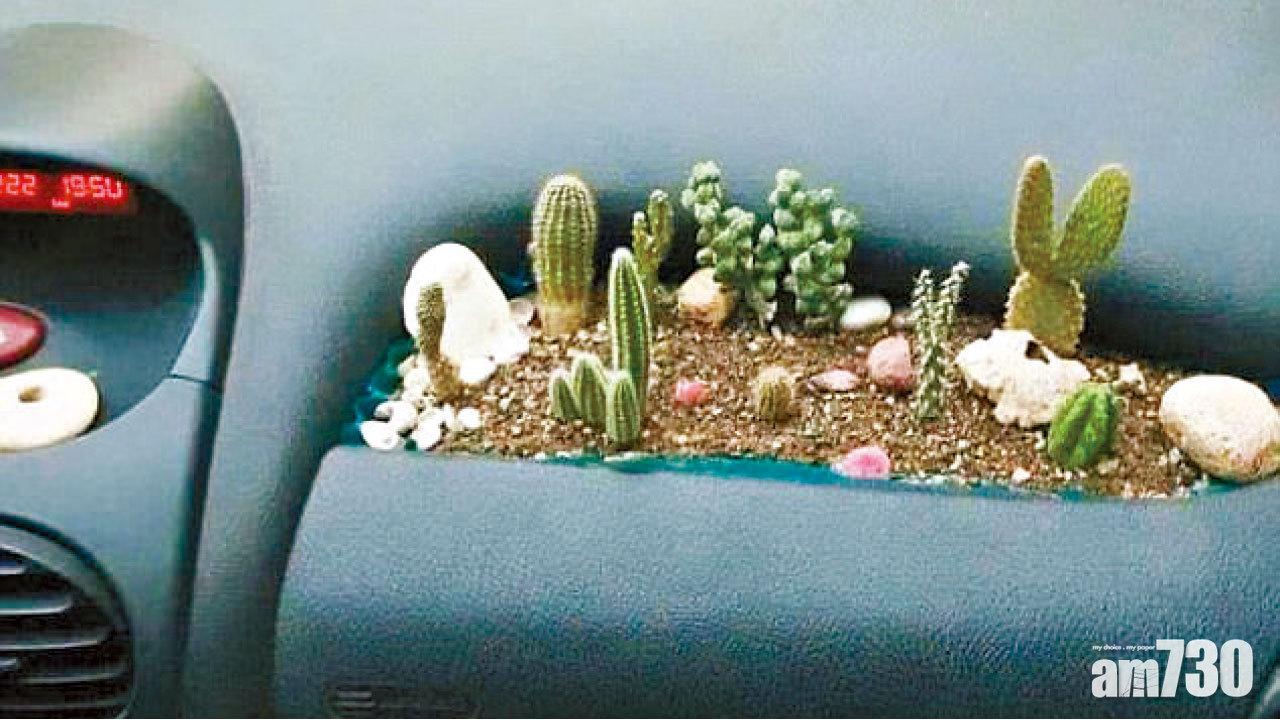 DI-Why創意不講理