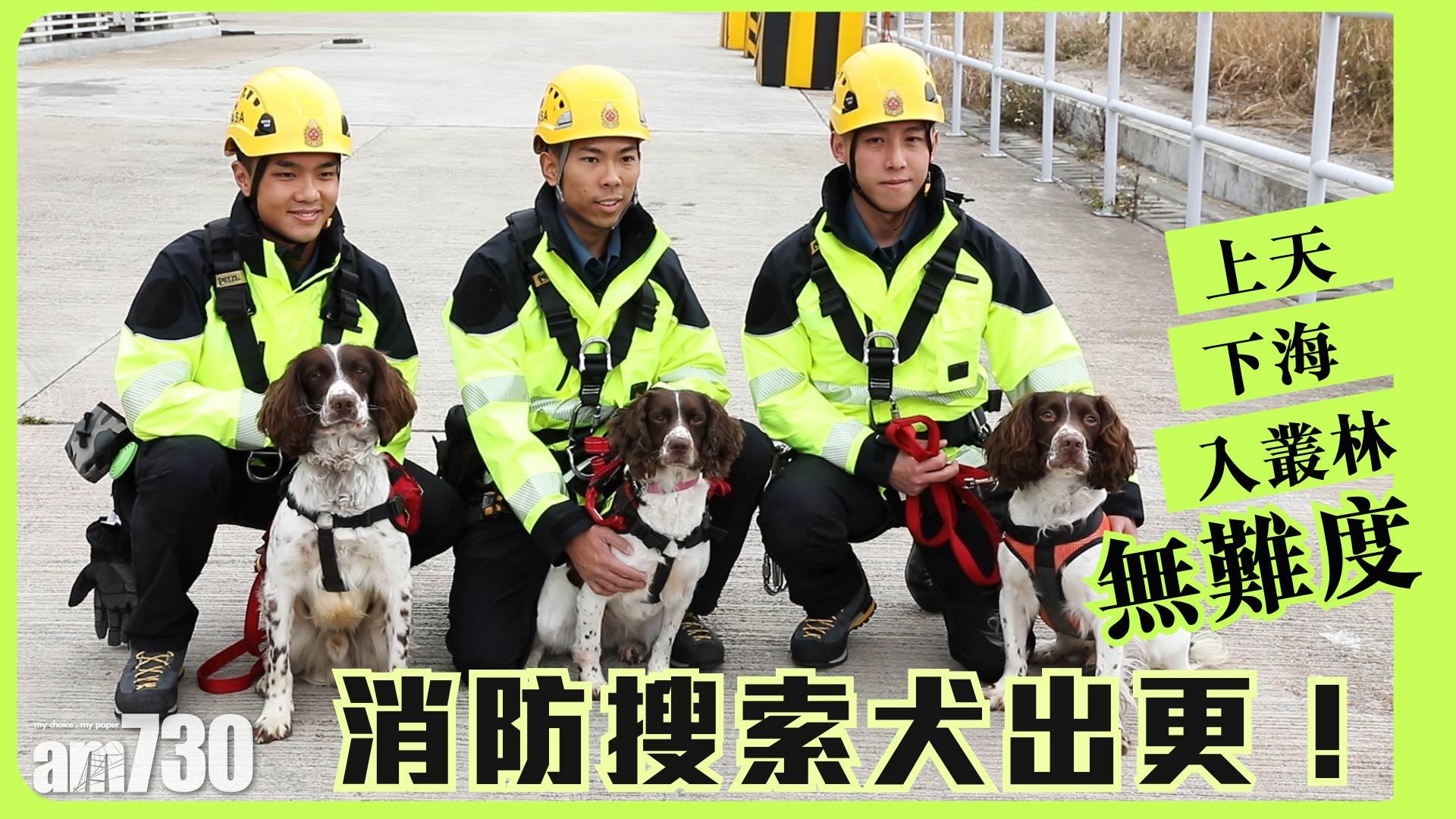 消防搜索犬出更！　上天下海入叢林無難度