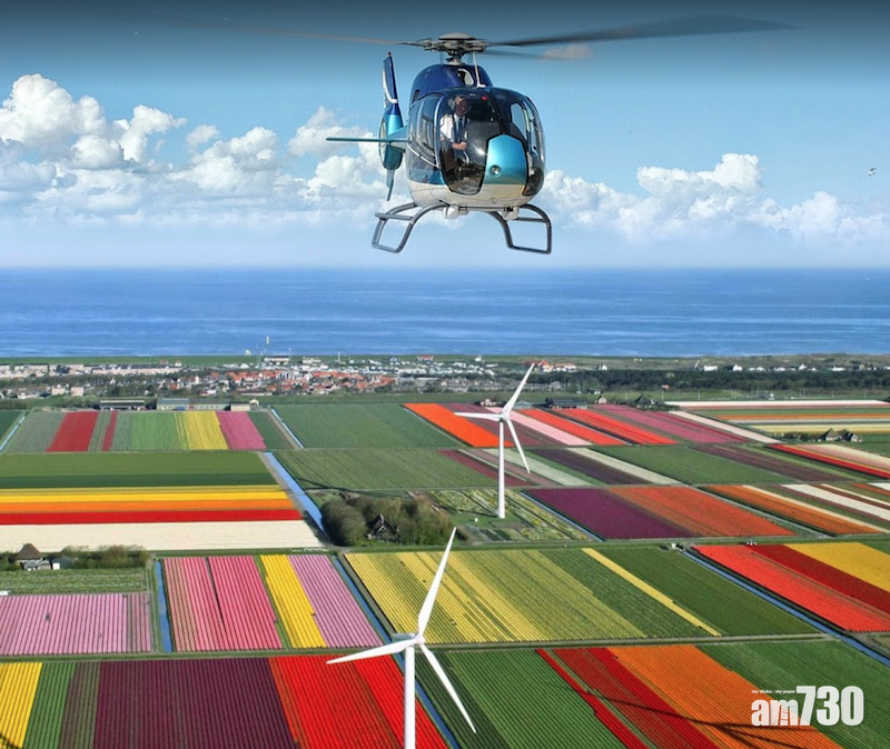 【堅離地】坐直昇機遊鬱金香園