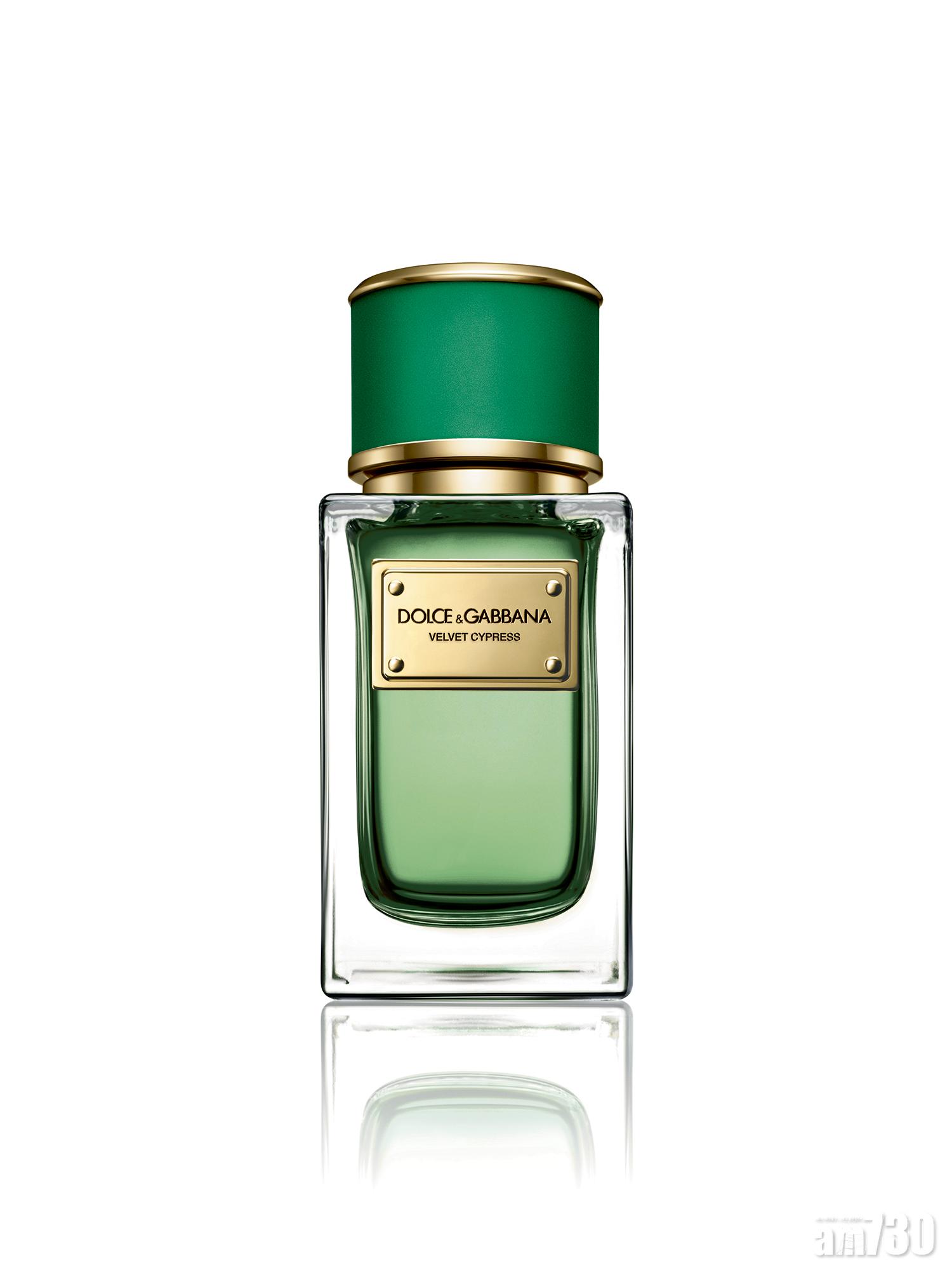 Dolce&Gabbana Velvet Collection最新woody氣息Velvet Cypress