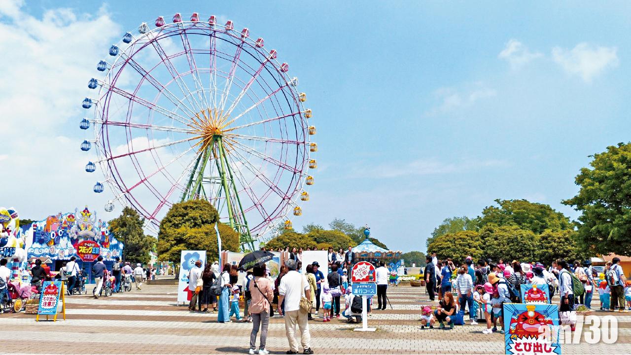 常陸海濱公園  茨城 花花世界