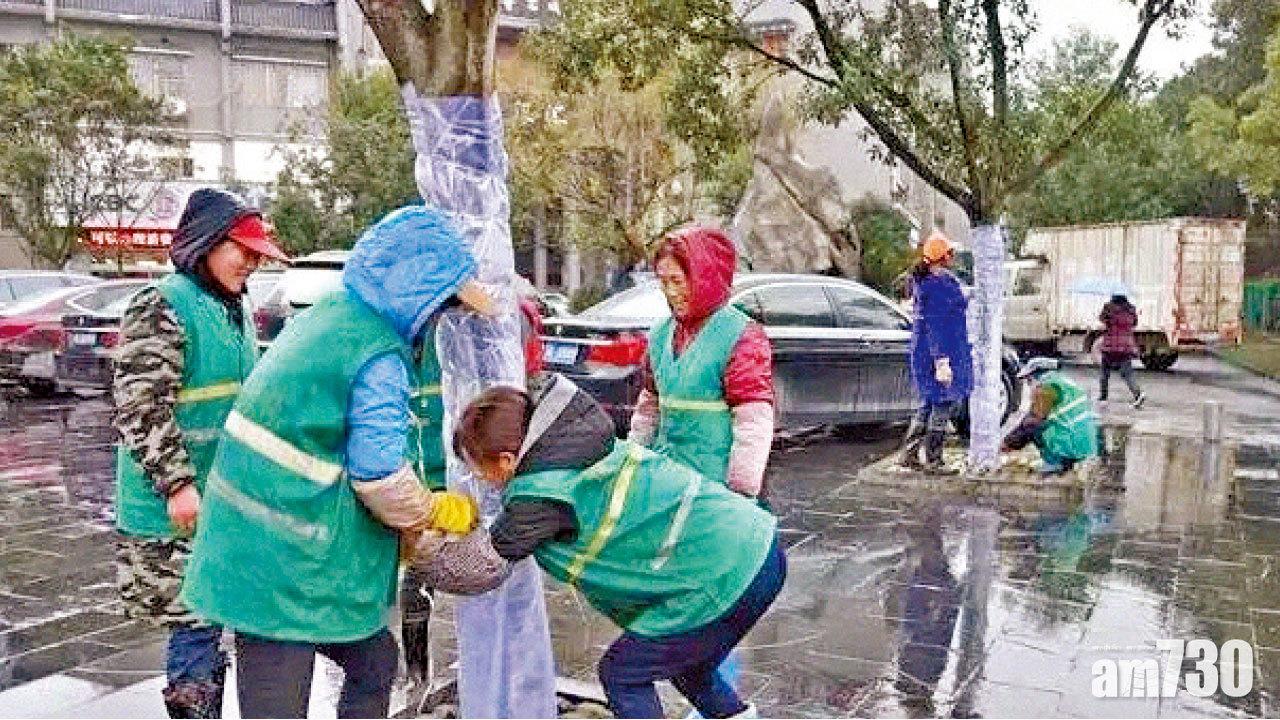 城市綠化仍有弊病 官媒籲警惕腐敗
