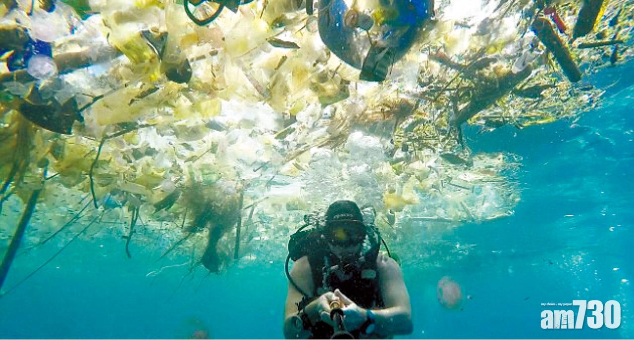 碧海浮圾 