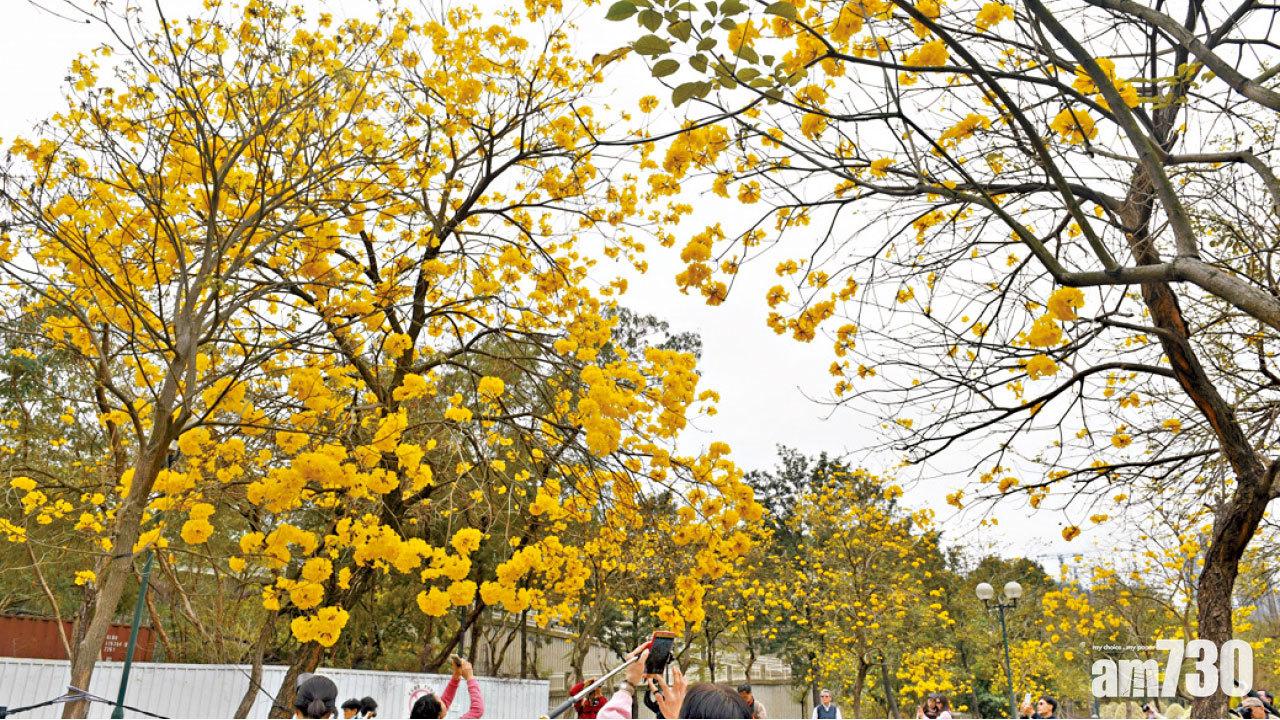 圖片新聞: 春暖花開