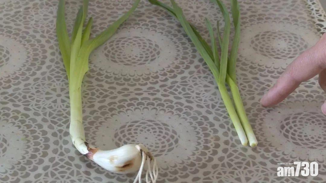 水仙當大蒜葉 江蘇母女食物中毒