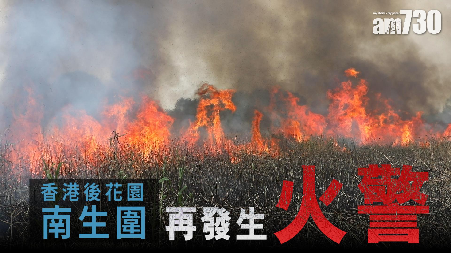 【有片】香港後花園南生圍再發生火警