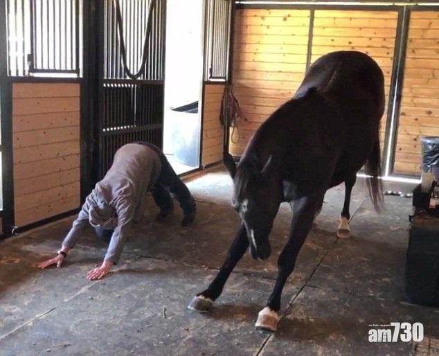 瑜馬可教也 與主齊做下犬式