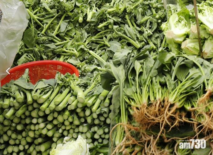 3蔬菜樣本除害劑殘餘量超標