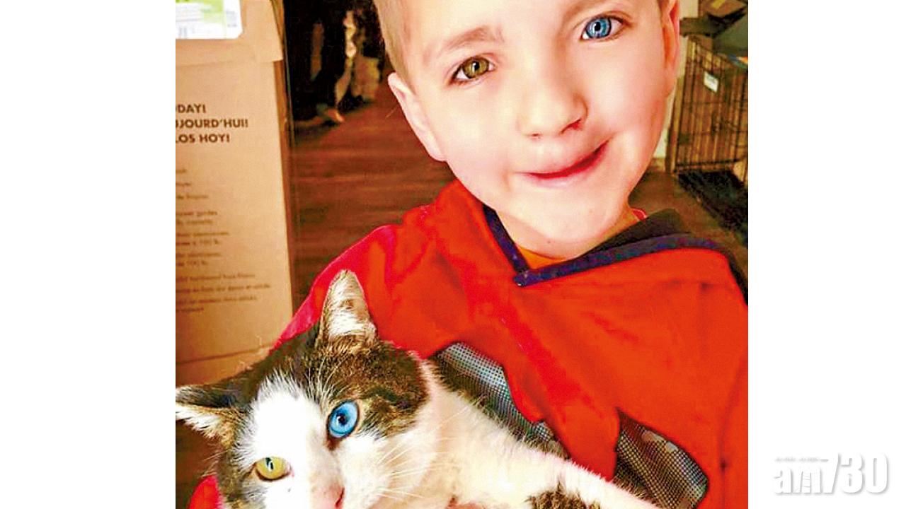 鴛鴦瞳天生一對