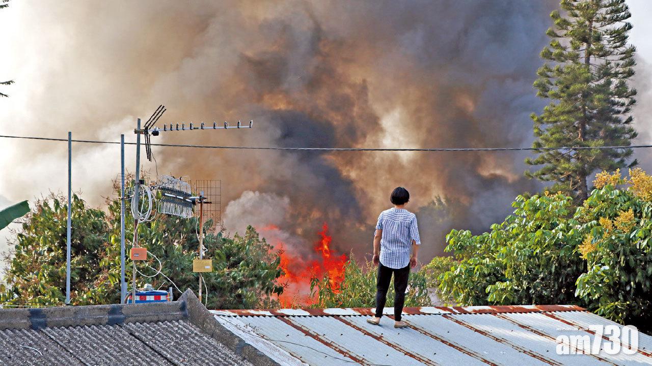 橫洲木屋火警貓狗喪命