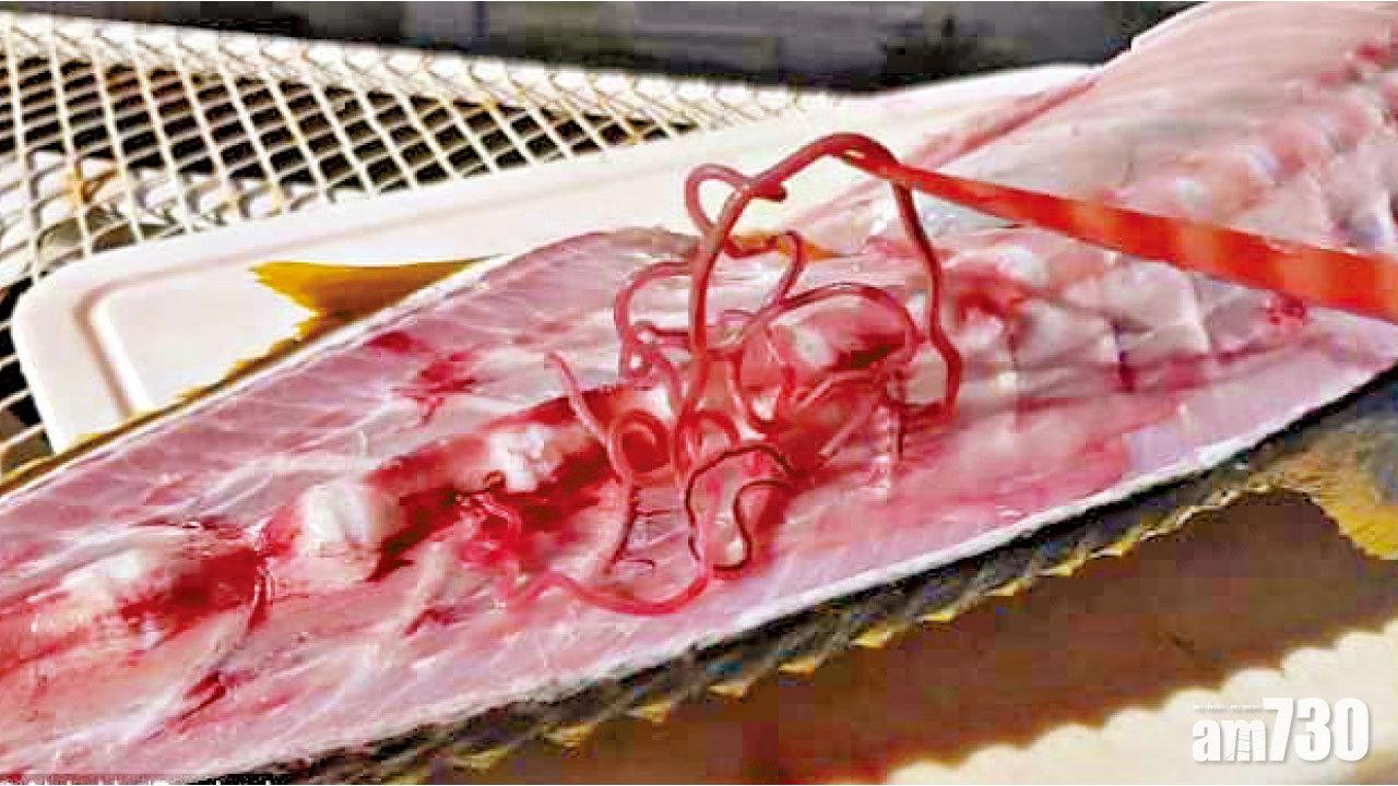蛔轉魚生敢食冇？