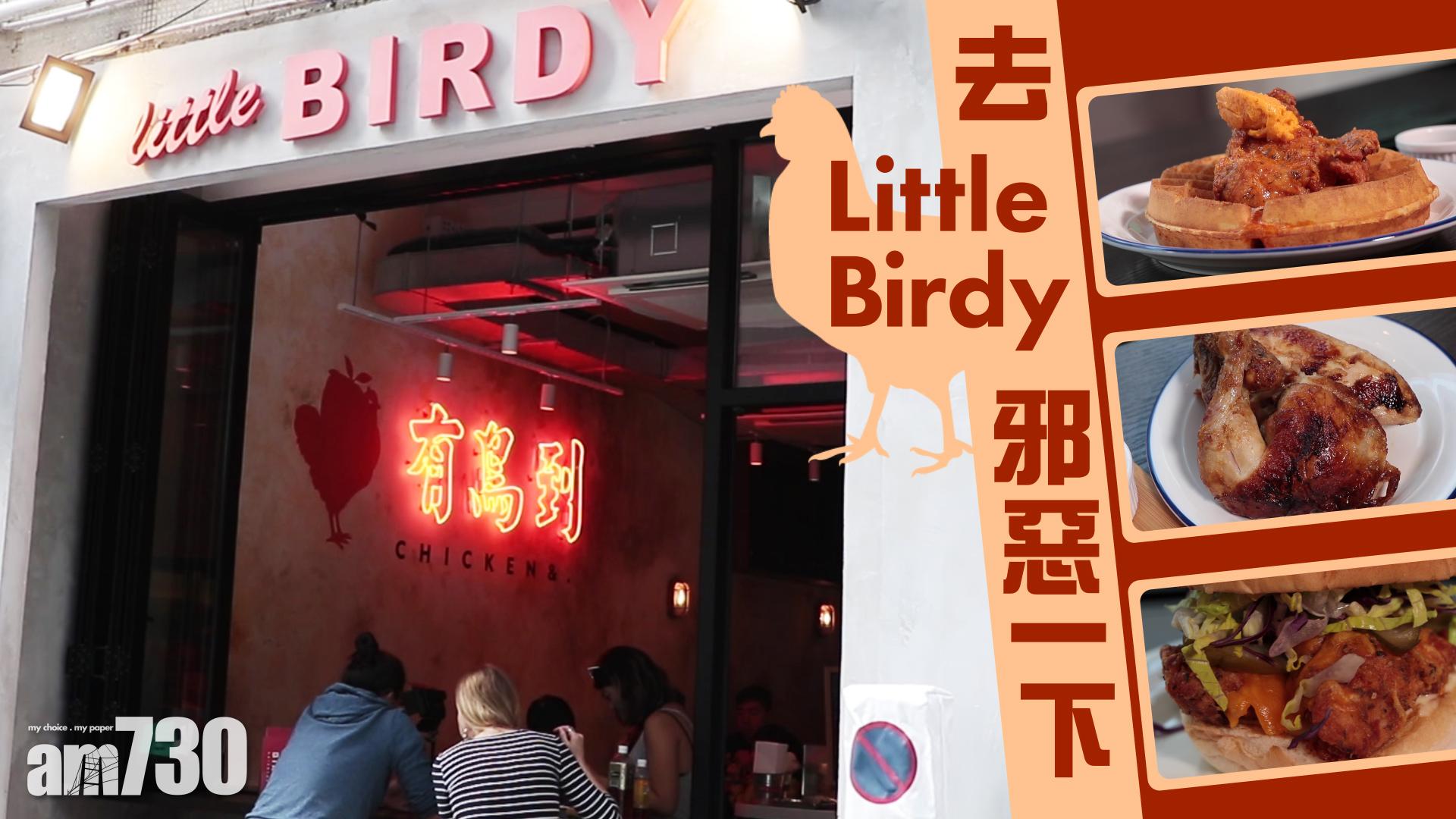 去Little Birdy邪惡一下