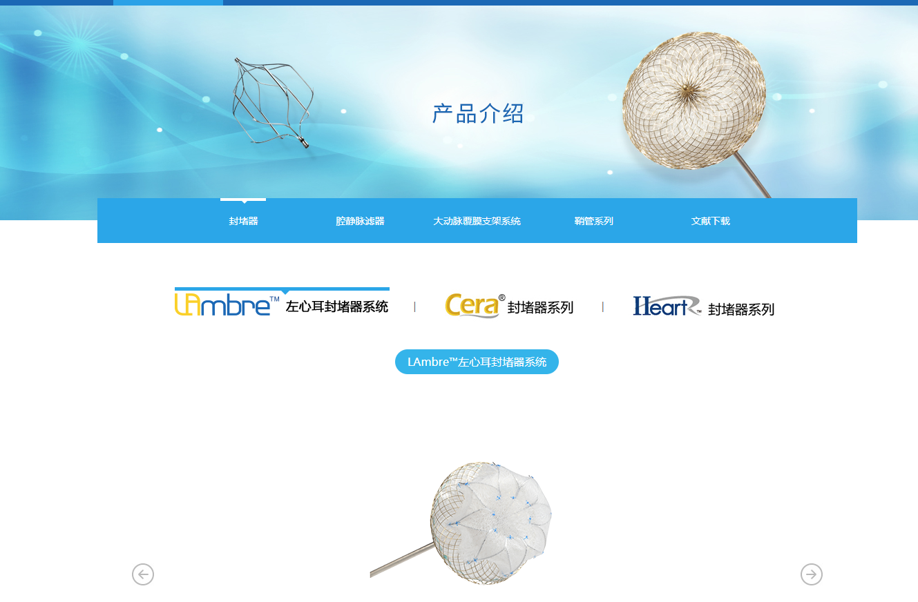 中國光大控股入主先健科技