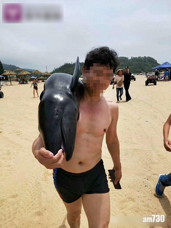 海邊抬走偽虎鯨屍體 男子已被尋獲
