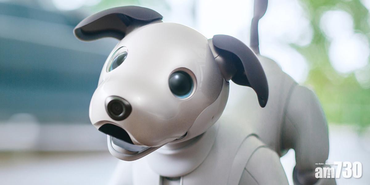 Sony機械寵物aibo供不應求