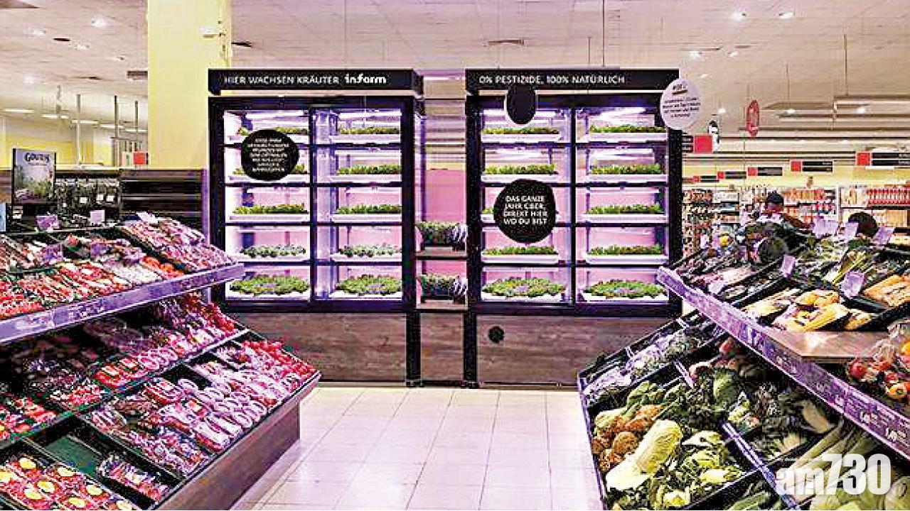 超市種菜即摘即買