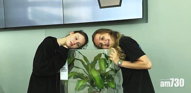 鬧凋殘 讚向榮 植物實驗反欺凌