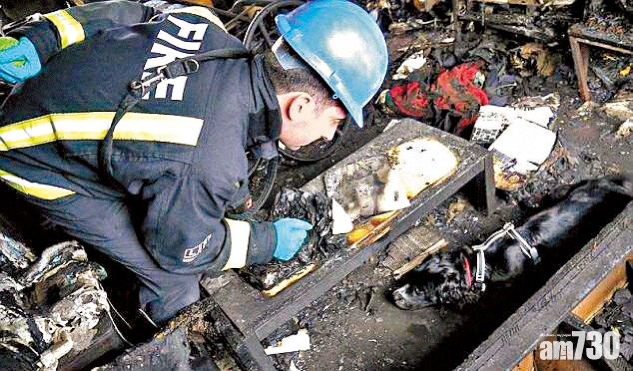 福爾摩斯犬 屢破縱火案