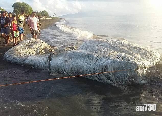菲海邊現「海怪」屍 村民恐為地震先兆