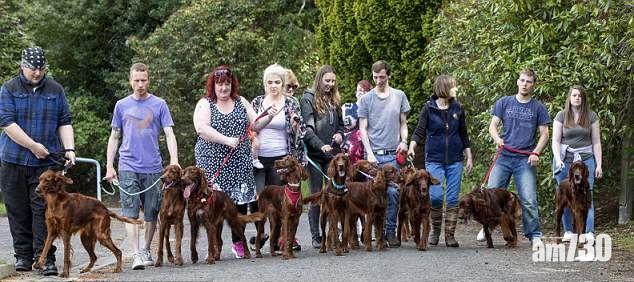 犬媽與15兒團圓