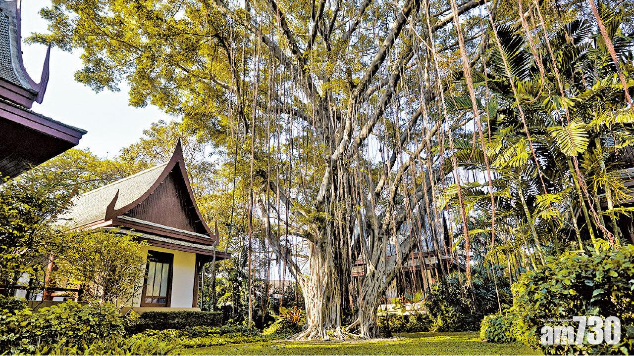 Chiva Som神秘的養生國度