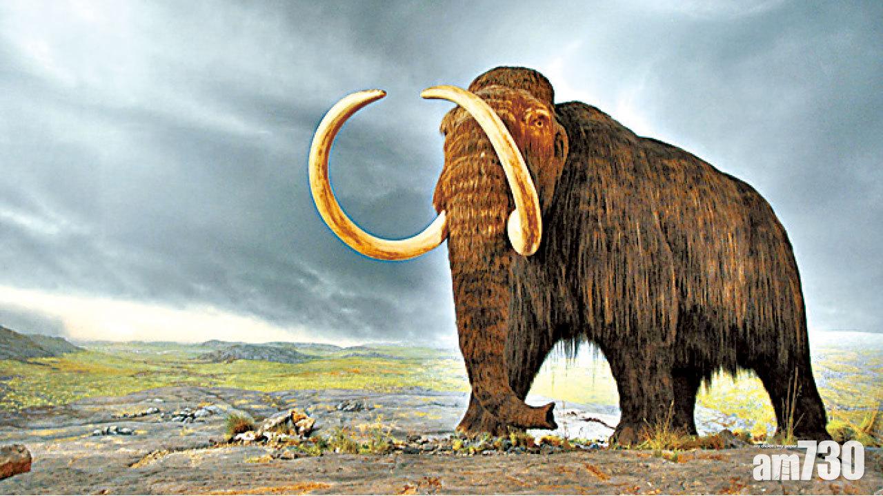 「冷凍方舟」保存瀕危物種DNA