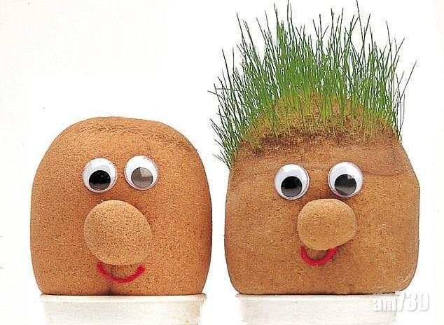 科研救駕各師各髮